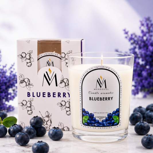 Vela Aromática Blueberry MUNDOVEL 170 g